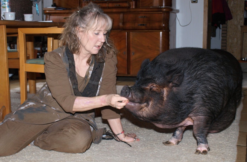 Gutes Personal ist schwer zu bekommen: Hängebauchschwein Lissy lässt sich von Birgit Laumann-Stening mit einem Stückchen Apfel verwöhnen. Foto: Ulrike Havermeyer 