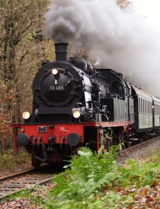 Durch das Wersener Holz bahnt sich die „78468“ ihren Weg zurück nach Mettingen. Foto: Frank Wiebrock