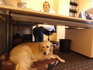 Jacky wartet auf ihren nächsten Einsatz. Frauchen Henrike Blömer fungiert als Sekretärin.